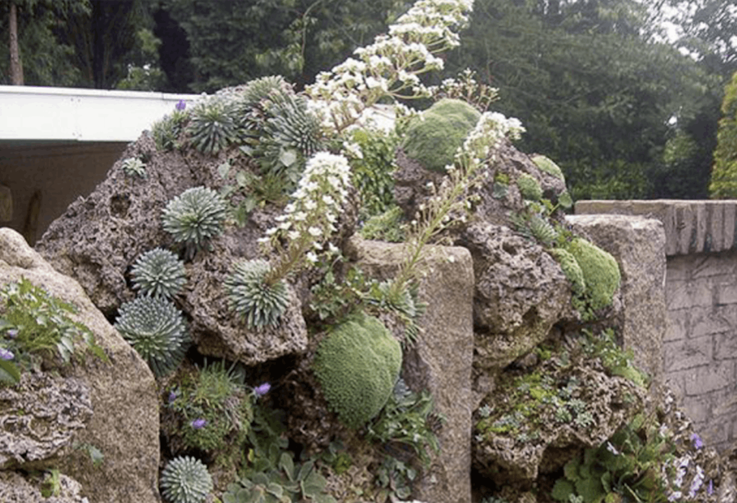 vertical rockery