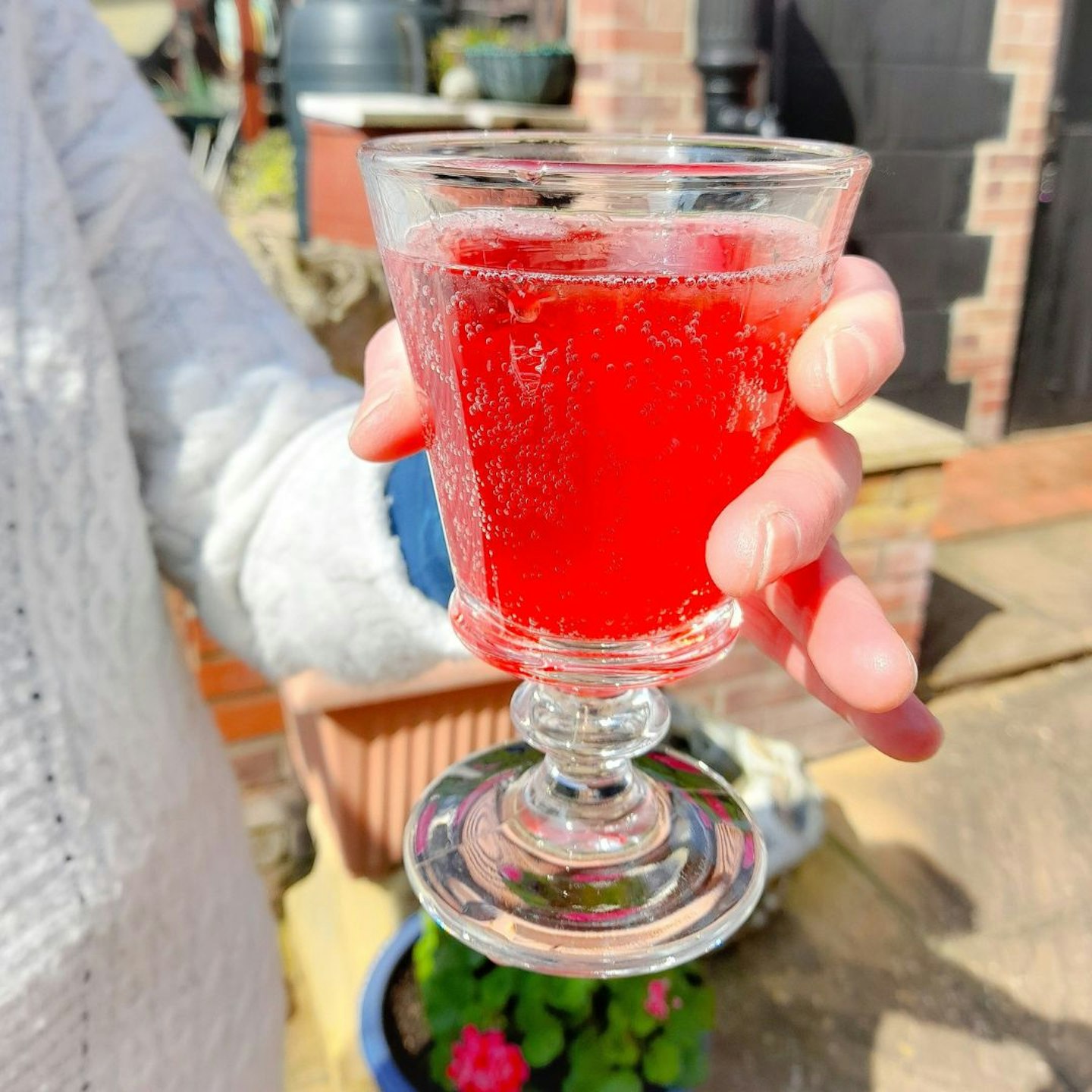 Sparkling cordial Sodastream Organics range - Blackcurrant Bliss