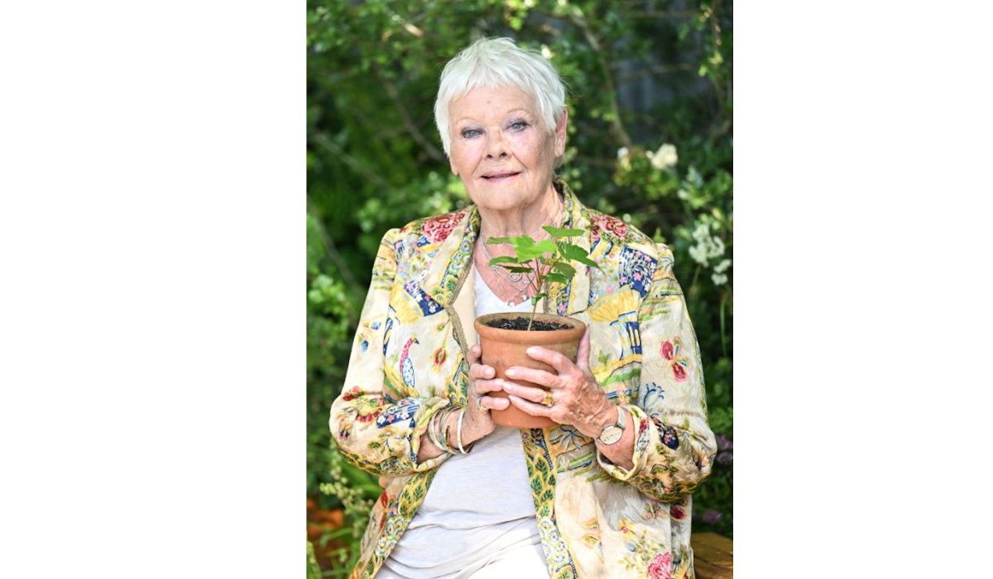 Dame Judi Dench at the RHS Chelsea Flower Show 2024