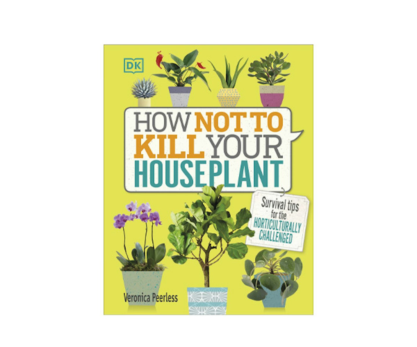 How to not kill your house plants