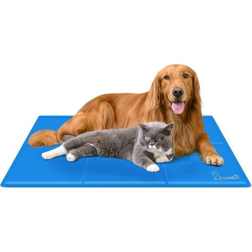 Best cat store cooling mat