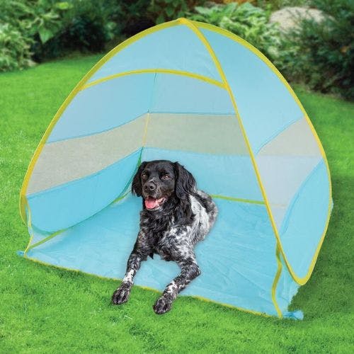 Sun shelters for store dogs