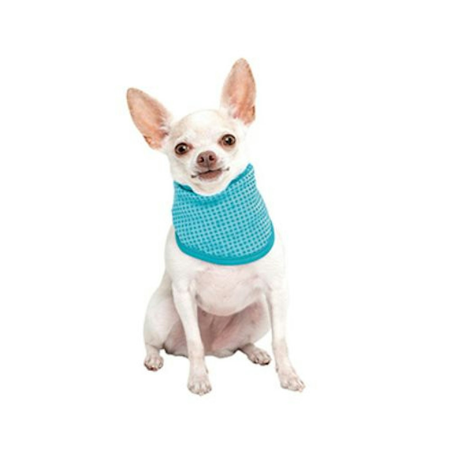 Sunny Daze Cooling Dog Bandana