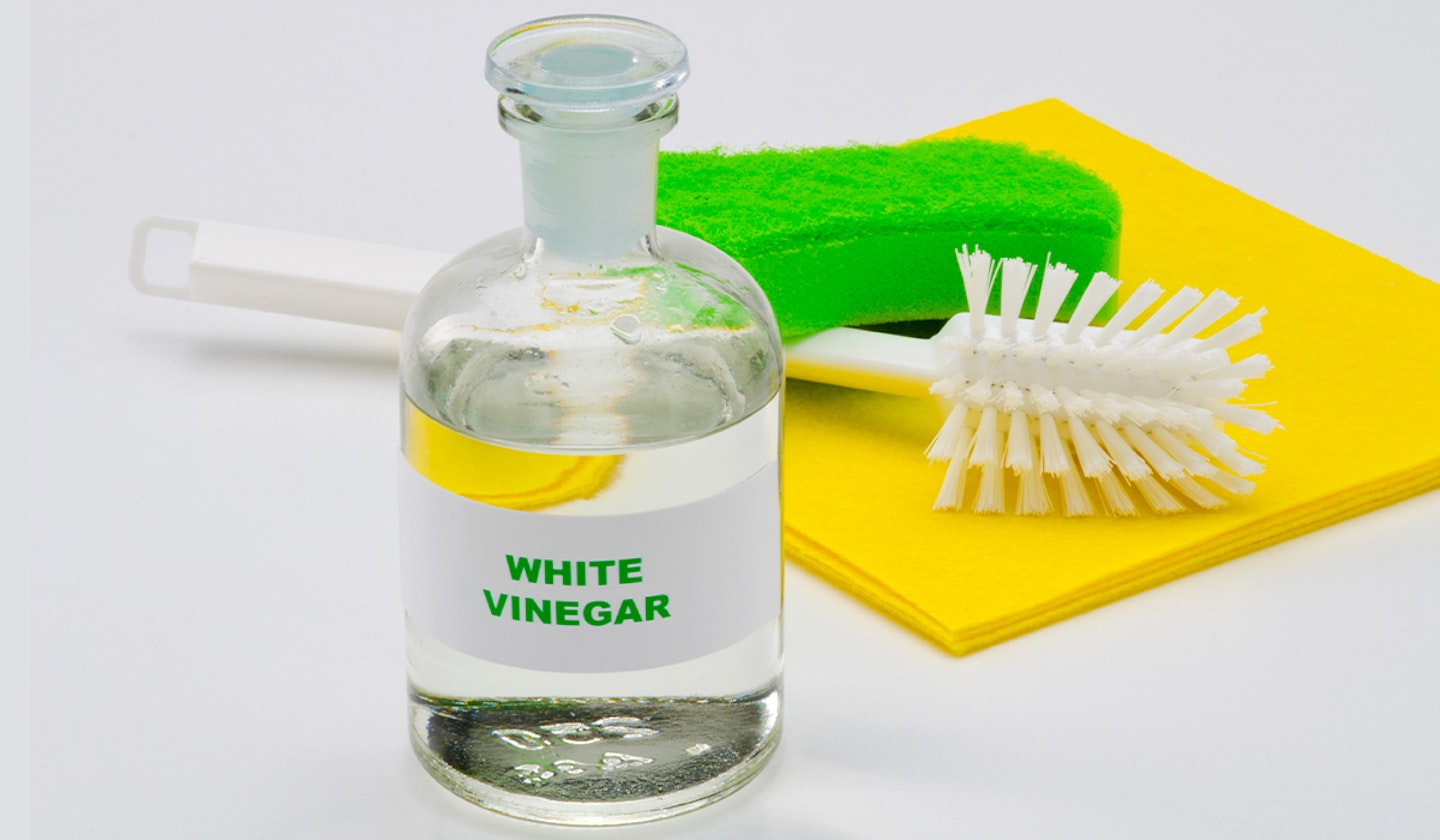 Clean shower head with white vinegar