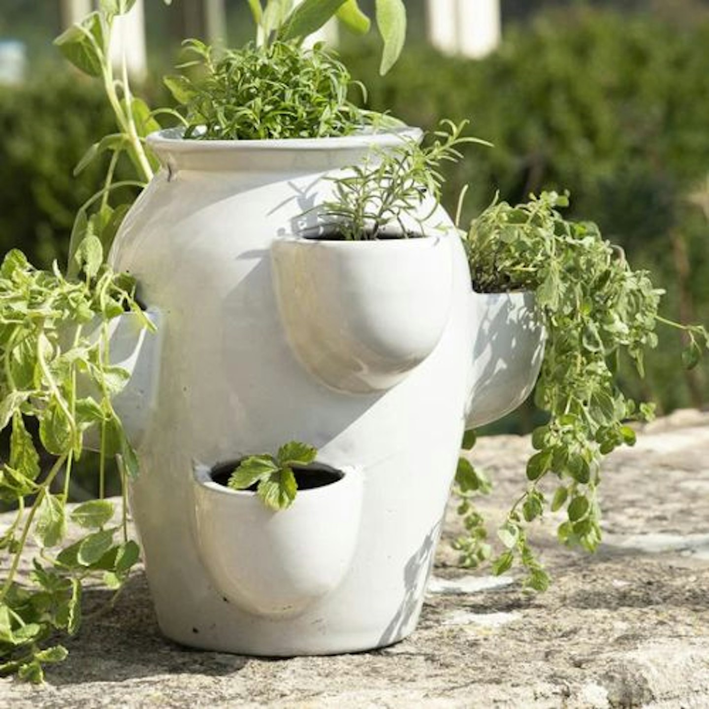 KITCHEN HERBS GLAZED TIERED PLANTER