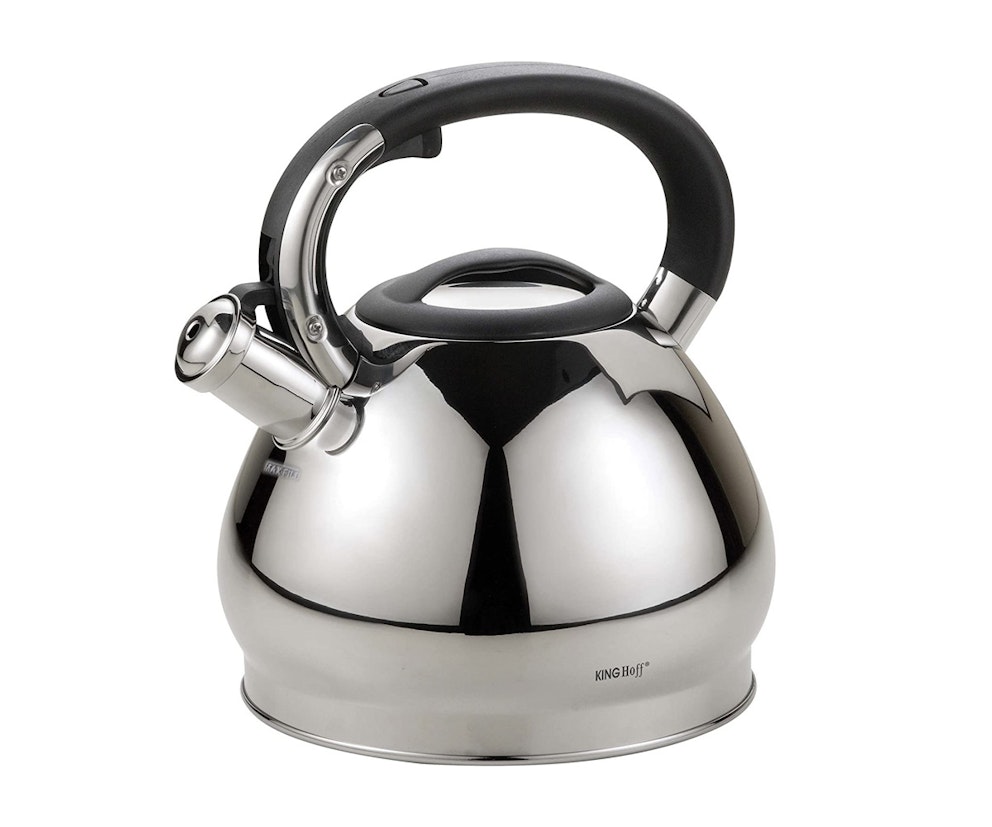Best stainless steel kettle