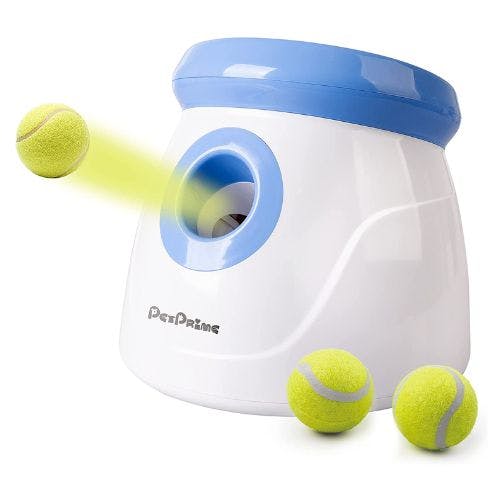 Dog ball hot sale thrower argos