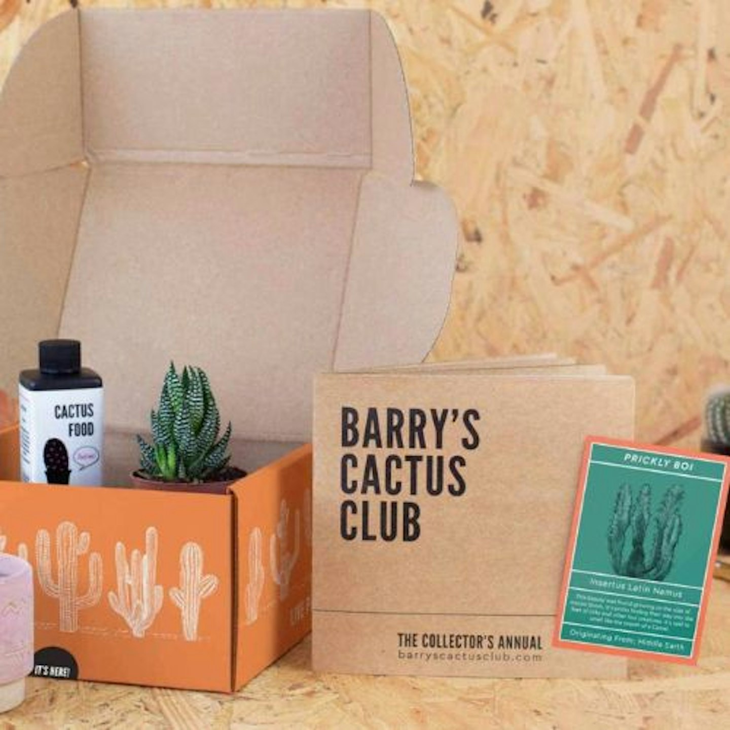 Barry's Cactus Club