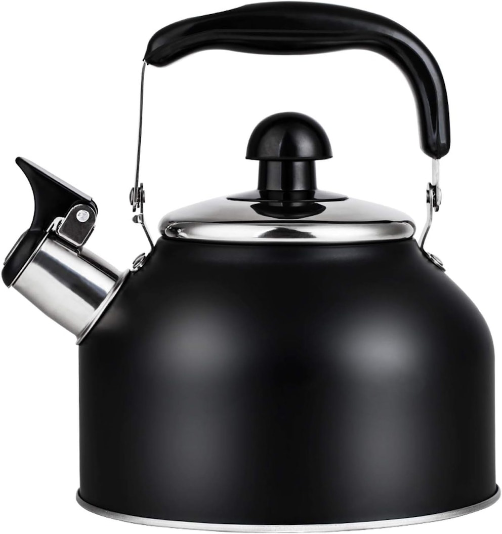 The best induction hob kettles
