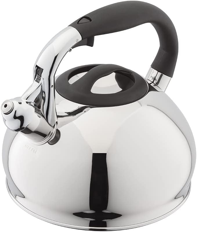 Best induction hot sale kettle