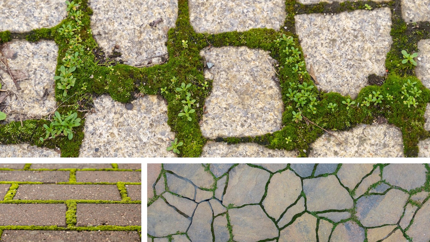 Moss tiles