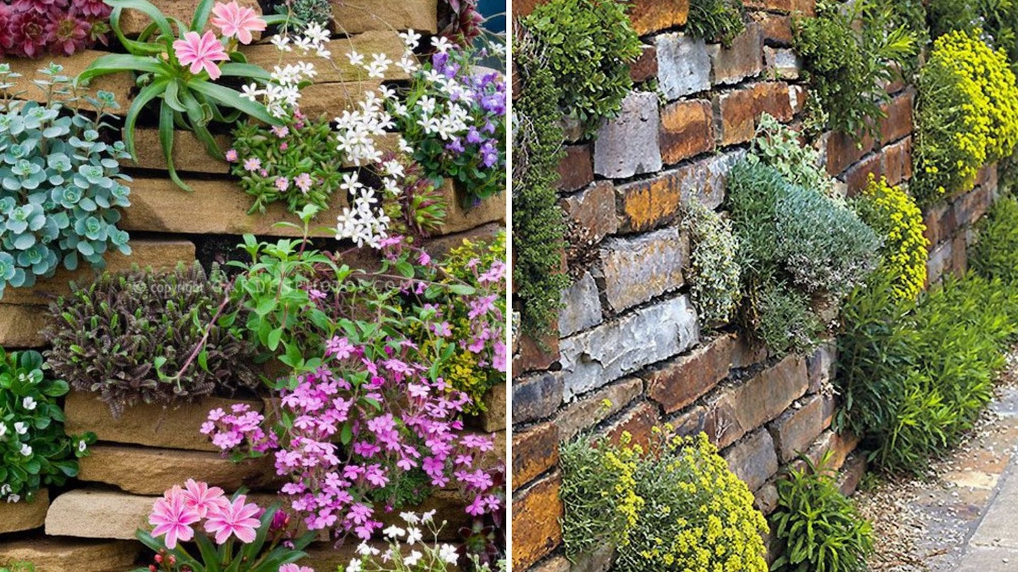 Mountain Crest Gardens (left) and Garden Gate Magazine (right)