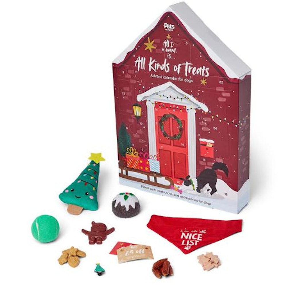 Best pet Advent calendar for furry friends big and small