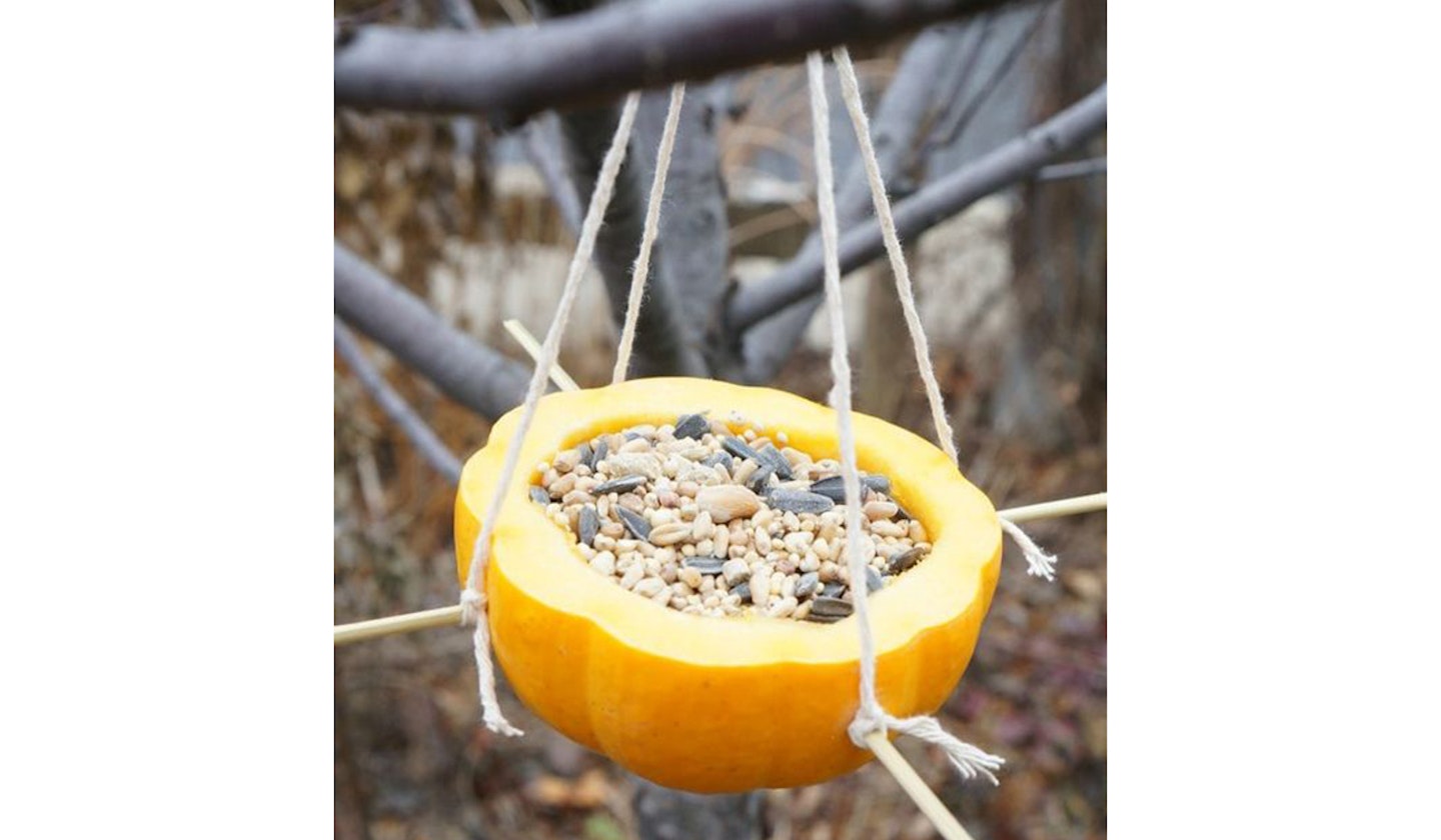 Pumpkin bird feeder