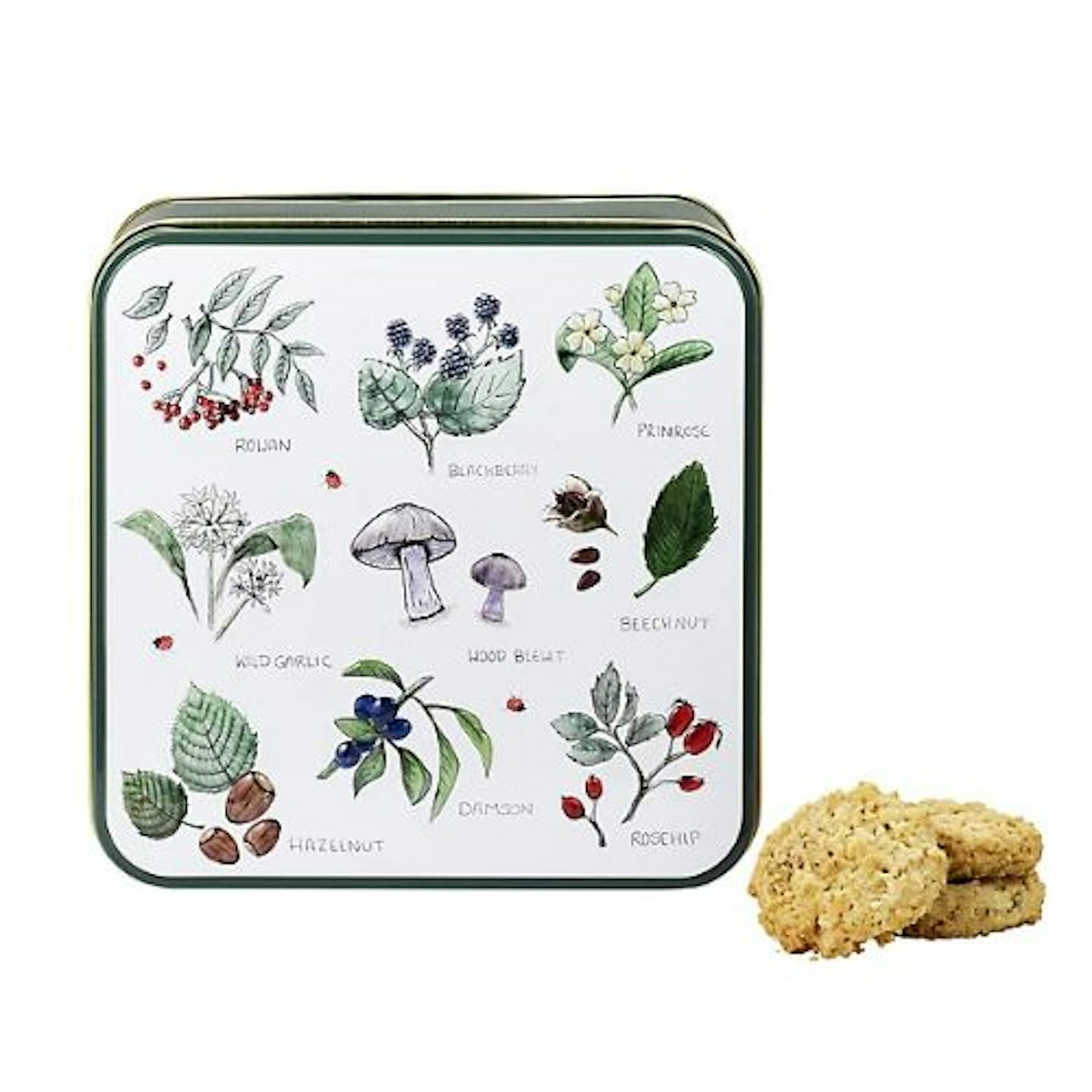 Lakeland Foraging Biscuit Tin 160g