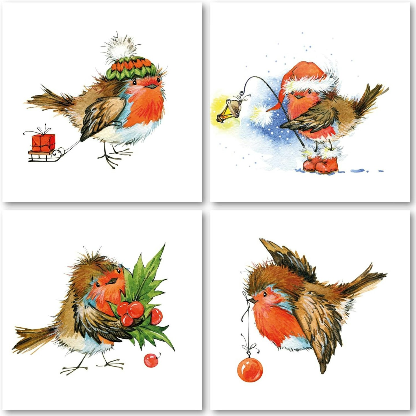 Robin Charity Christmas Cards