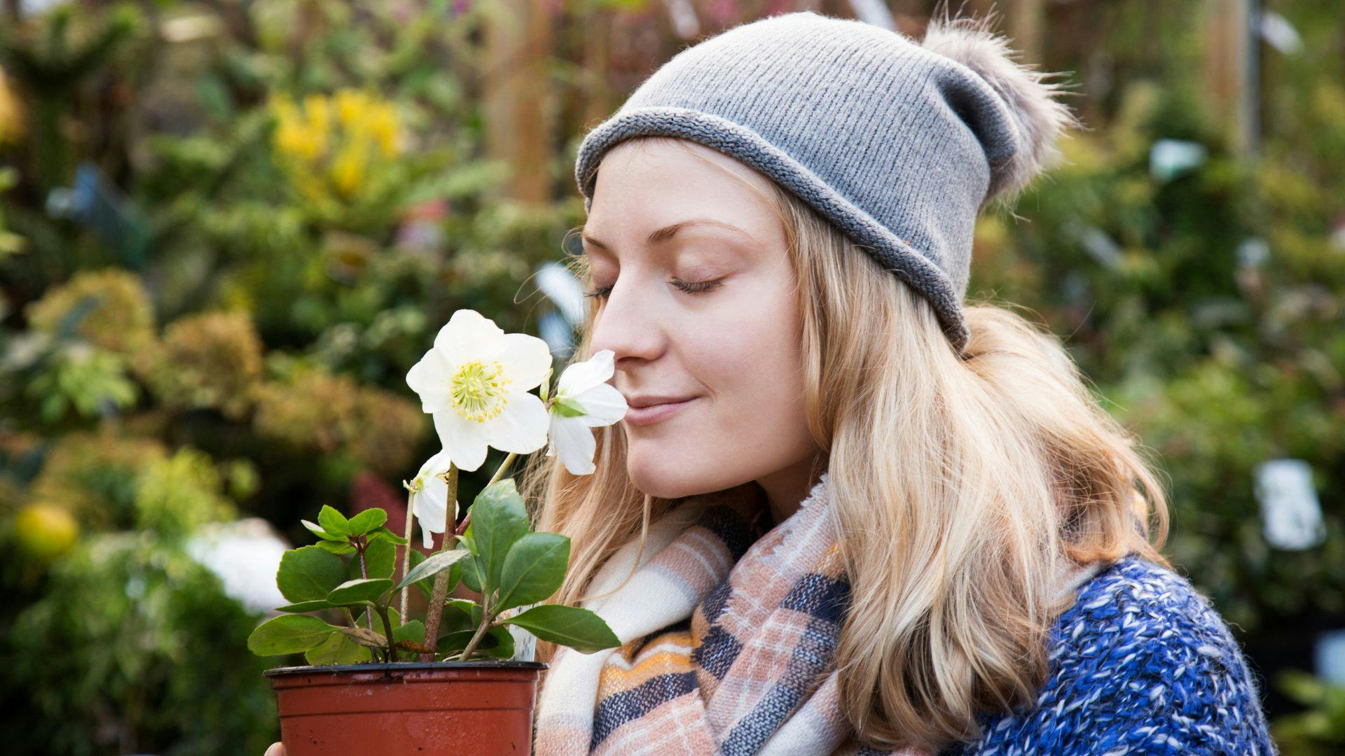 Best outdoor winter plants 2023