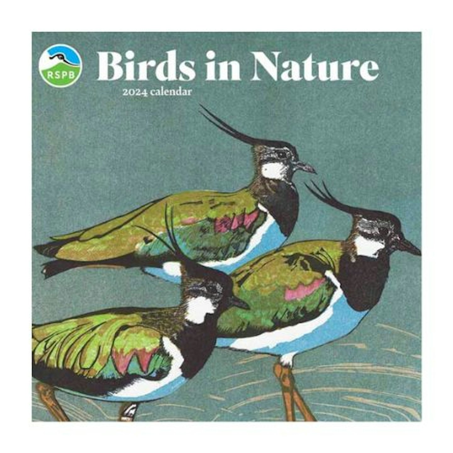 RSPB Birds In Nature Linocut Calendar 2024