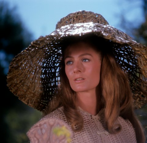 Dame Vanessa Redgrave Everything You Want To Know dame-vanessa-redgrave-everything-you-want-to-know