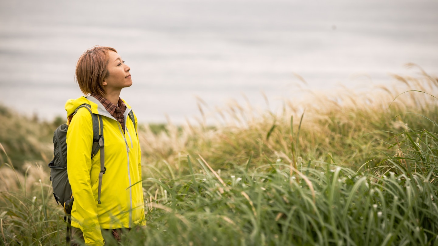 Seasalt country 2025 walk jacket