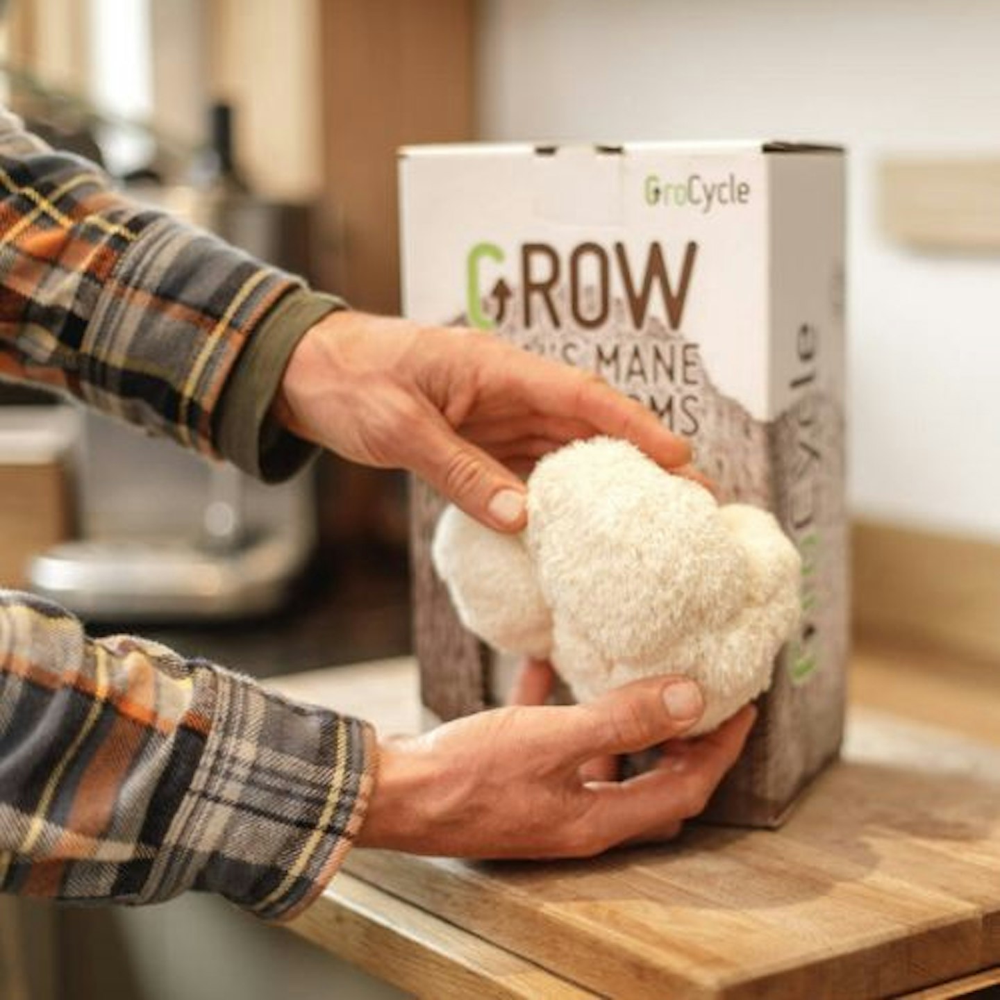 Grow Your Own Lion's Mane Mushrooms Kit
