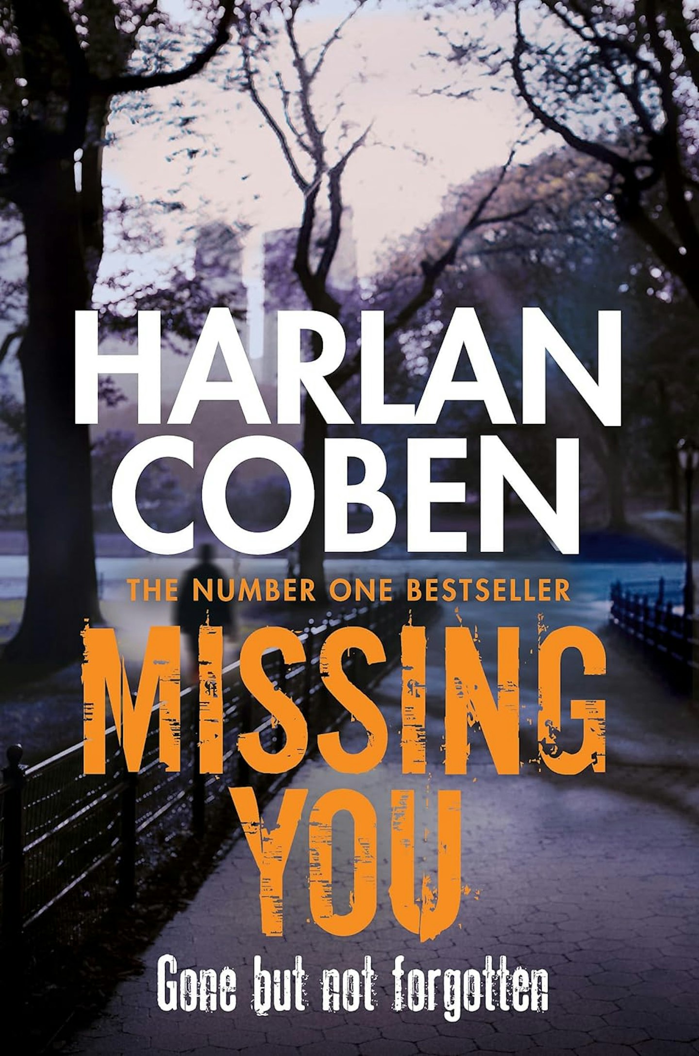 Missing You by Harlan Coben