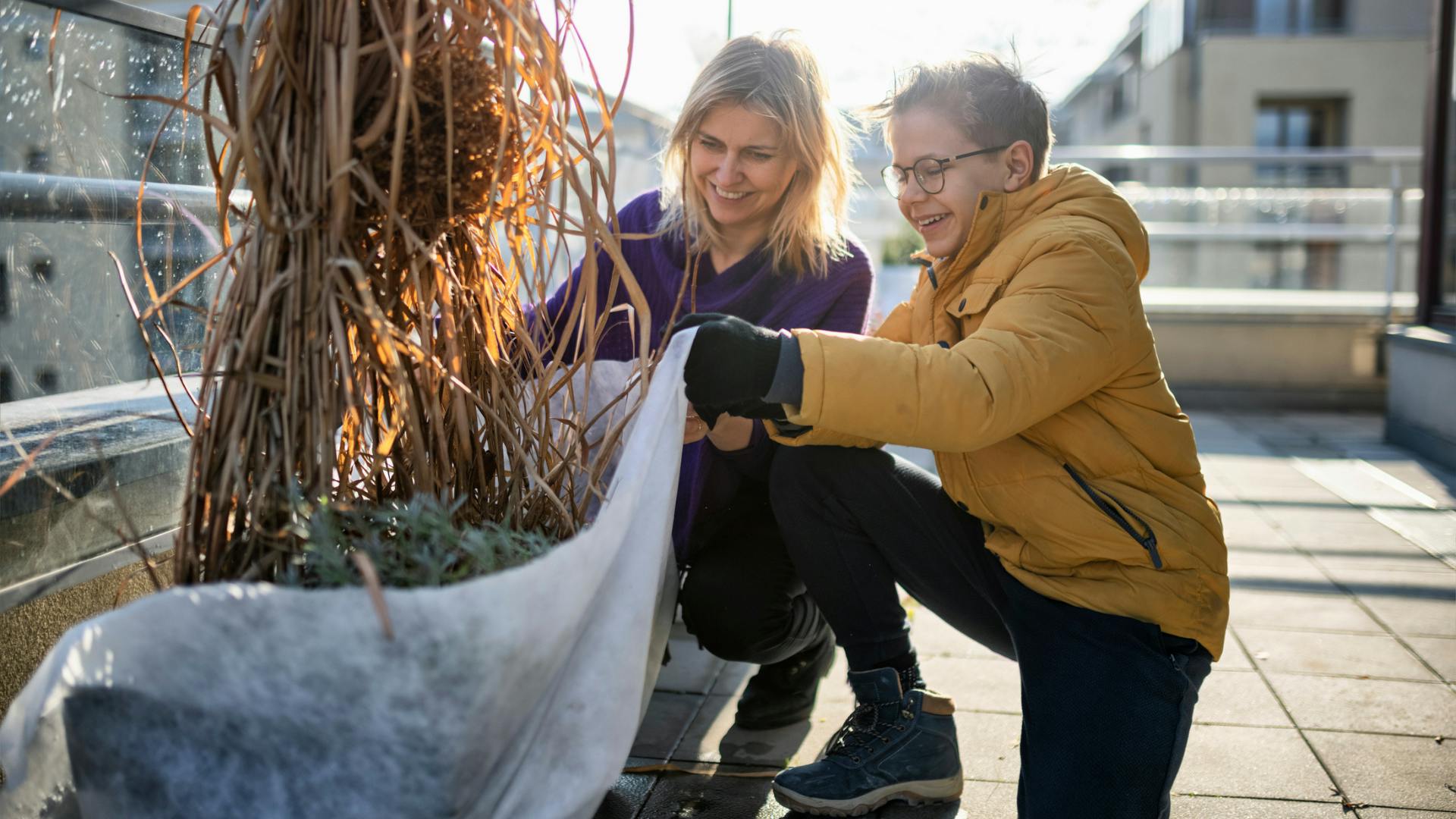 Best Plant Covers For Winter Weather Protection   Plant Cover For Winter 