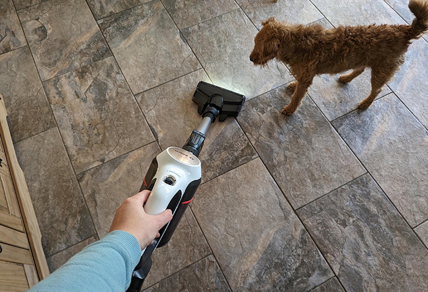 bosch unlimited pro with pets