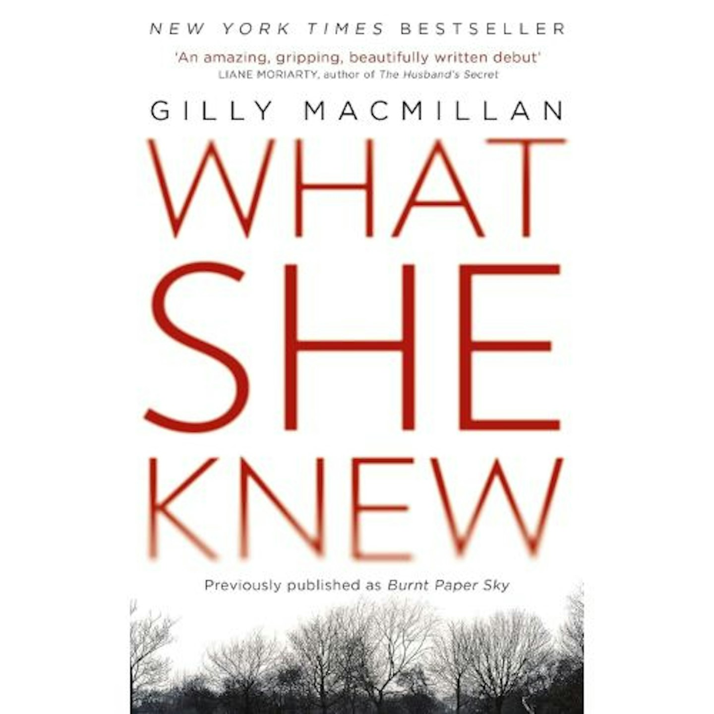 What She Knew by Gilly Macmillan