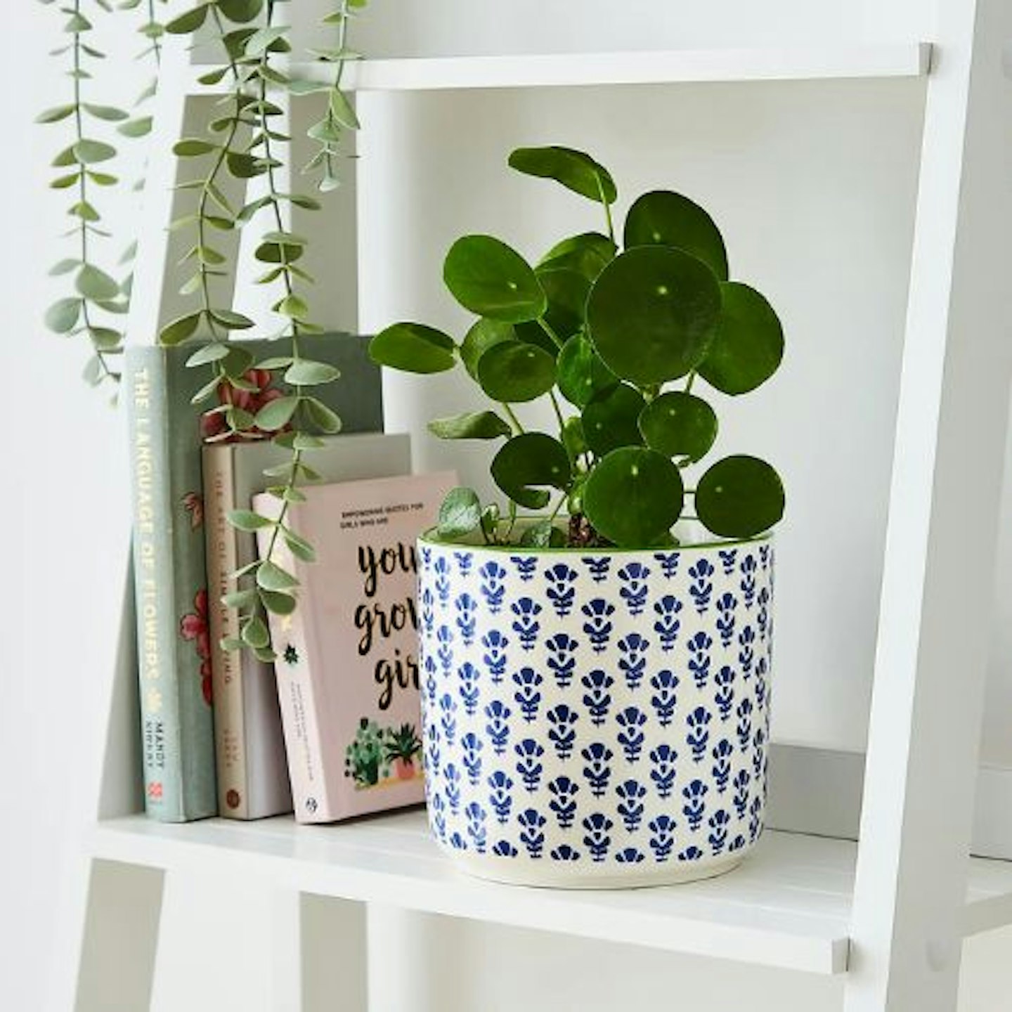 Bonnie Plant Pot