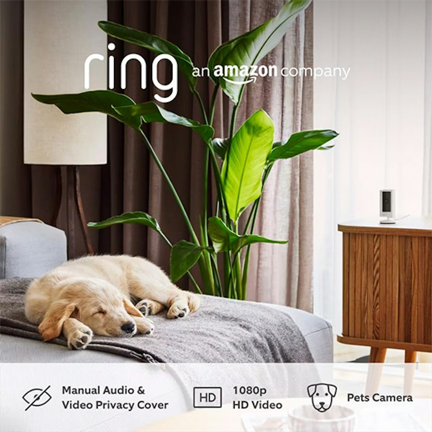 Indoor ring camera