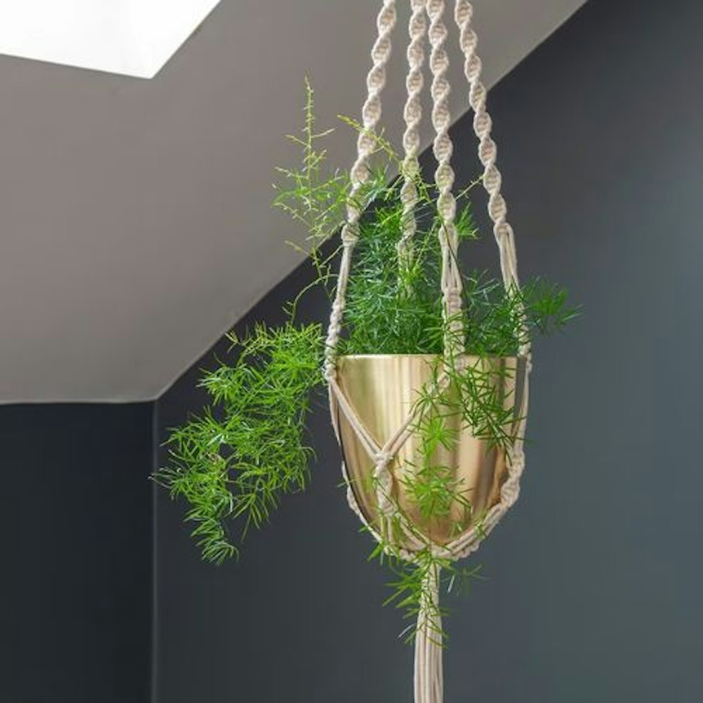 Macrame hanger with brushed brass pot
