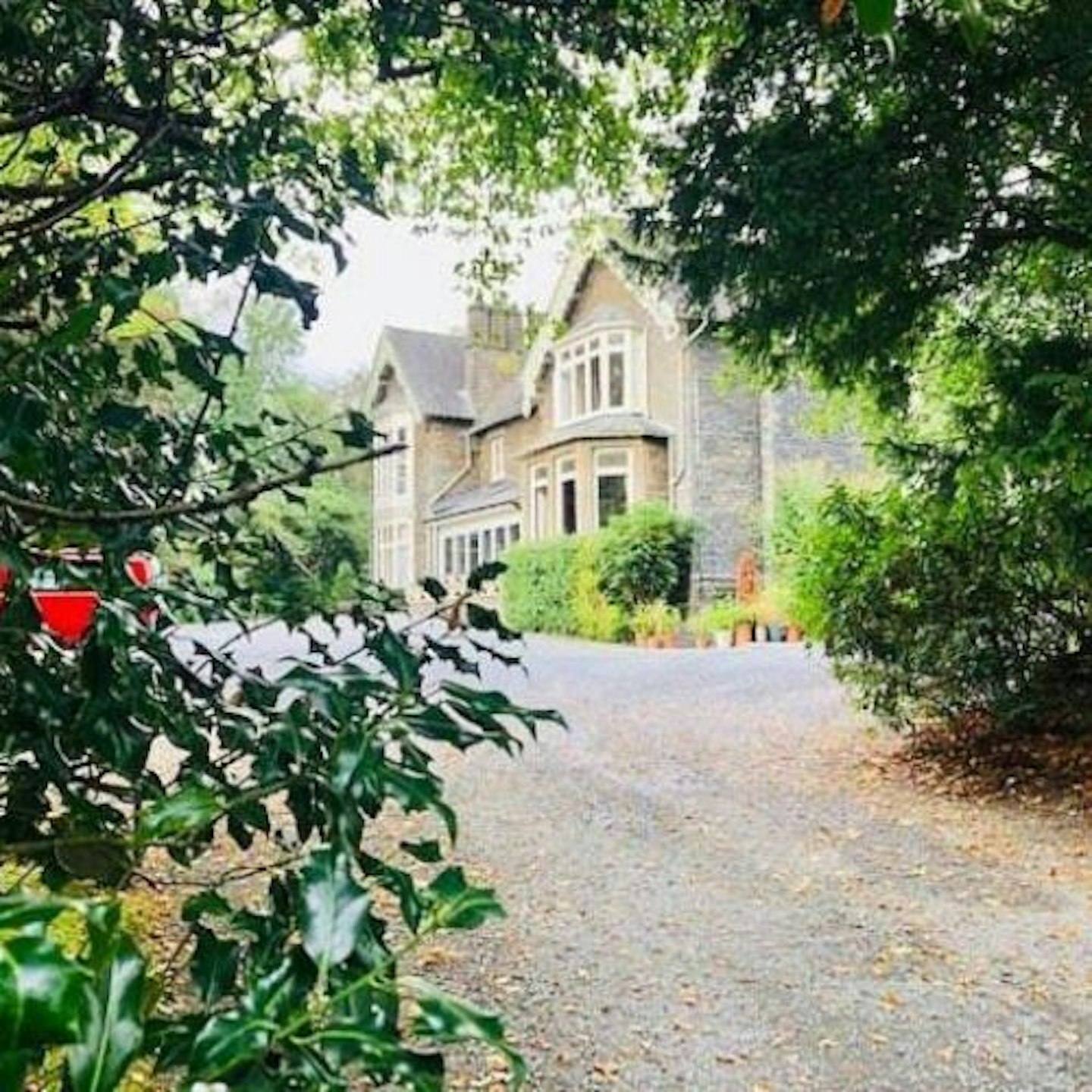 Ambleside Manor - Vegetarian B&B