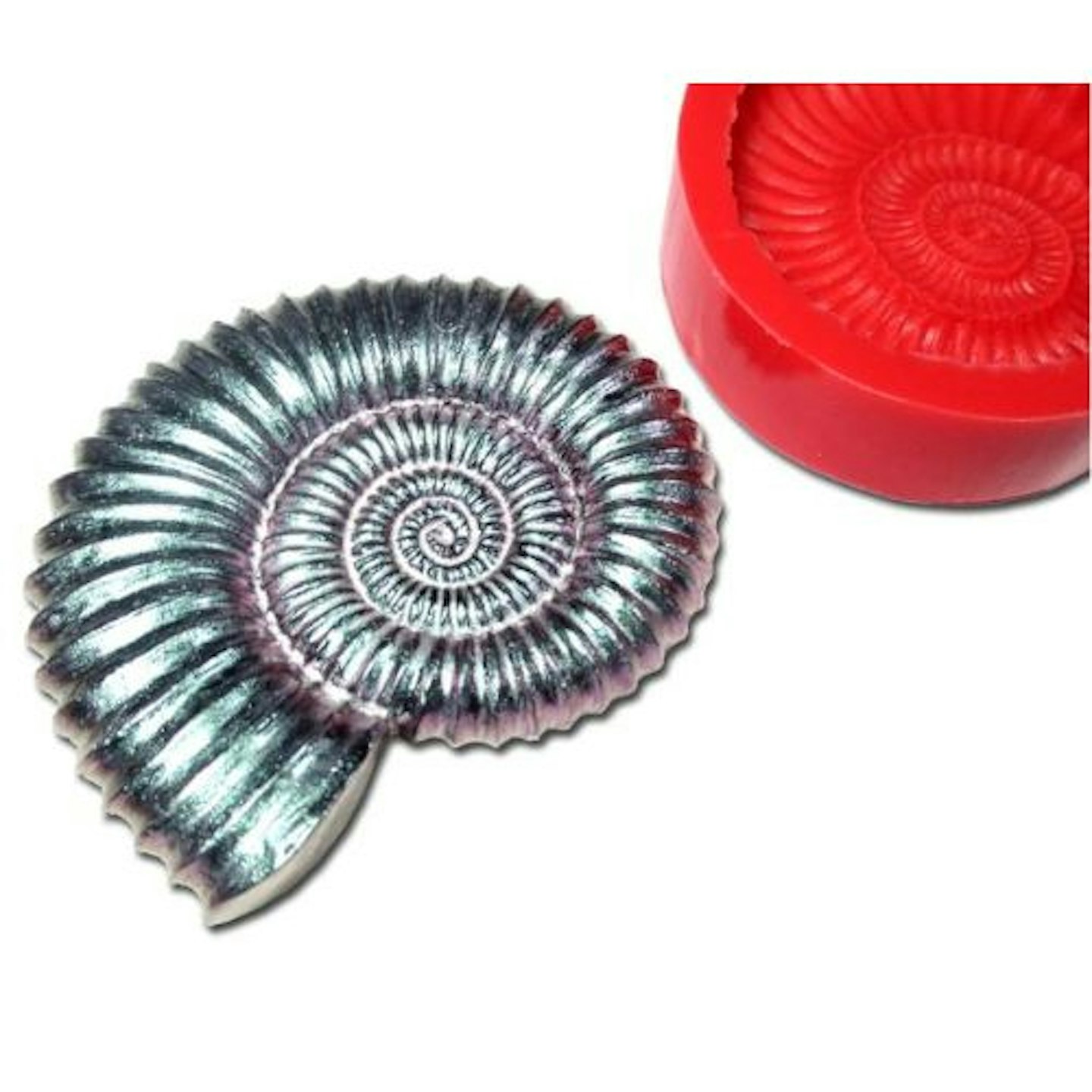 Ammonite Silicone Mould