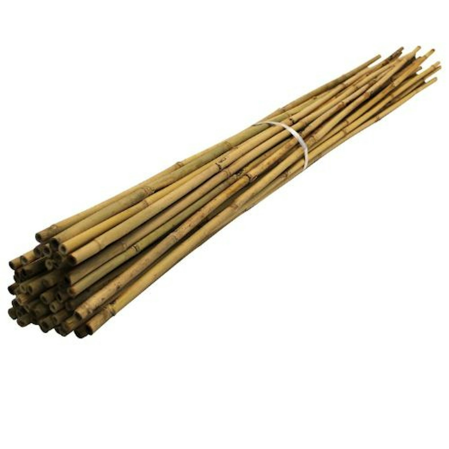 Bamboo Canes For Gardens/Plant Support | Multiple Lengths & Pack Sizes: 3ft to 12ft | Supplied by Suregreen (10, 45cm / 6-8mm)