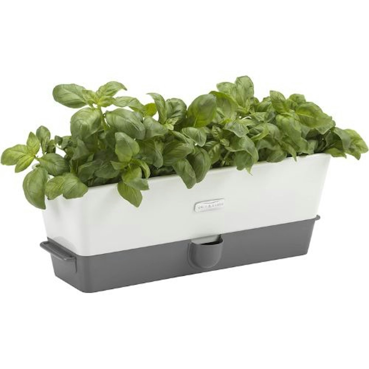 Cole & Mason Burwell Self-Watering Potted Herb Saver