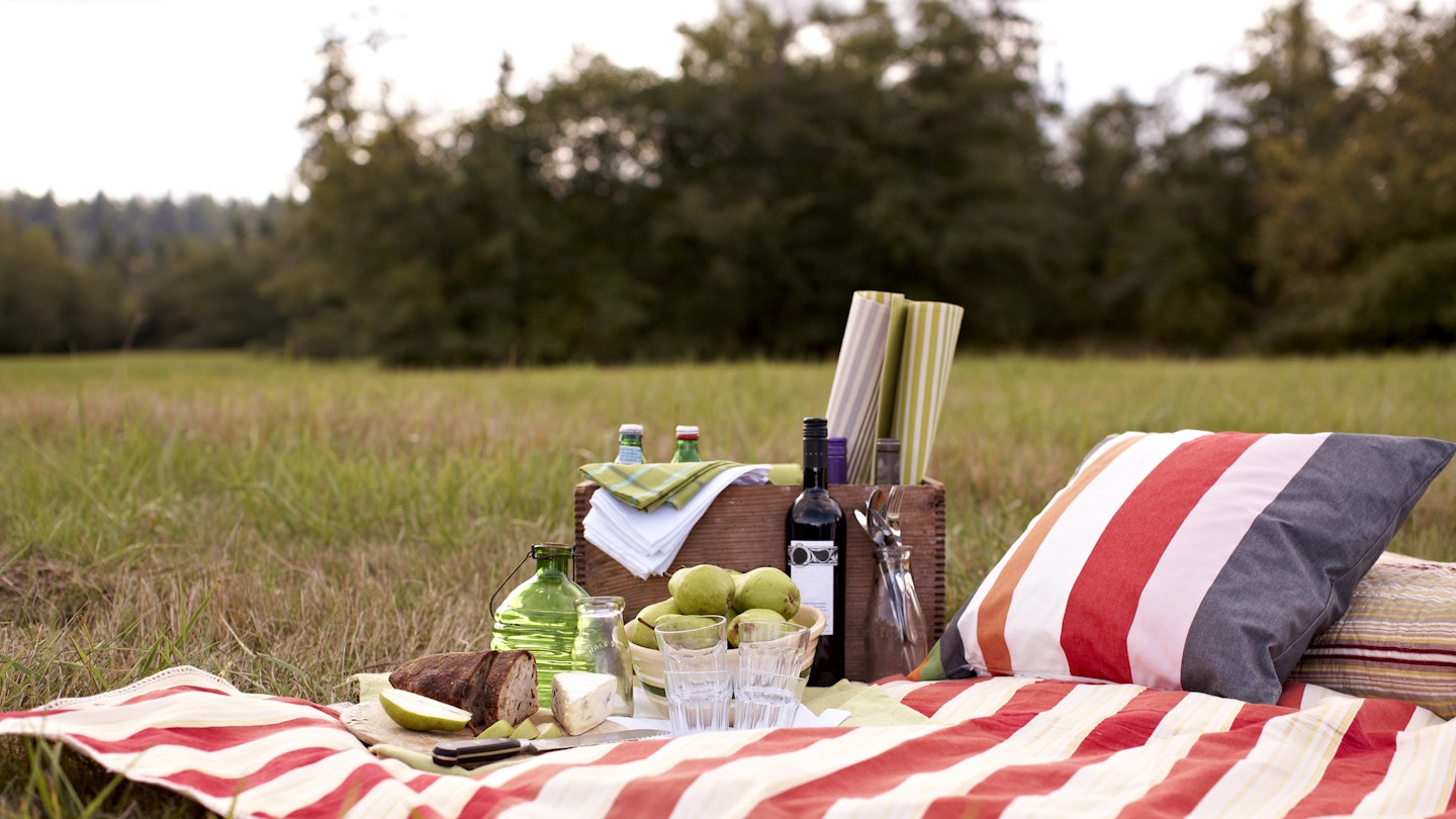 Picnic blanket on the grass
