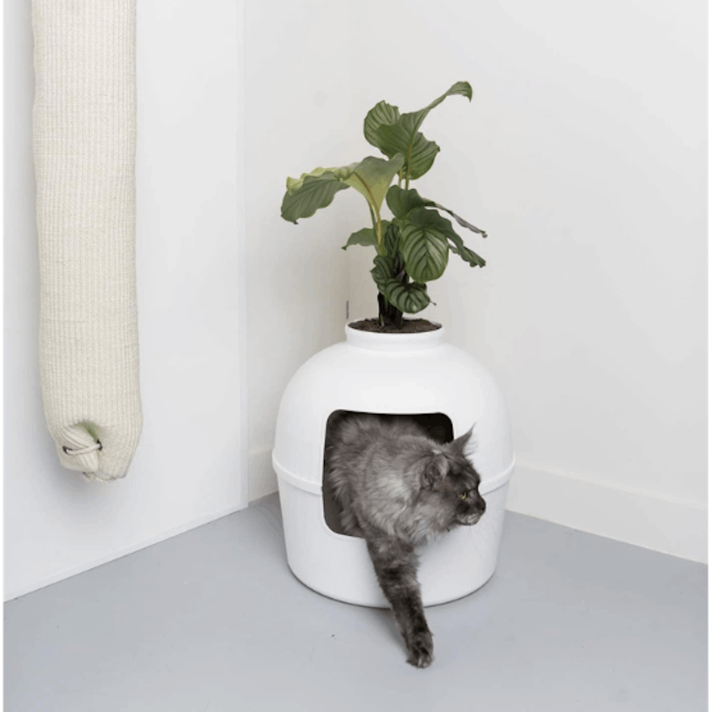 RHRQuality cat litter box 