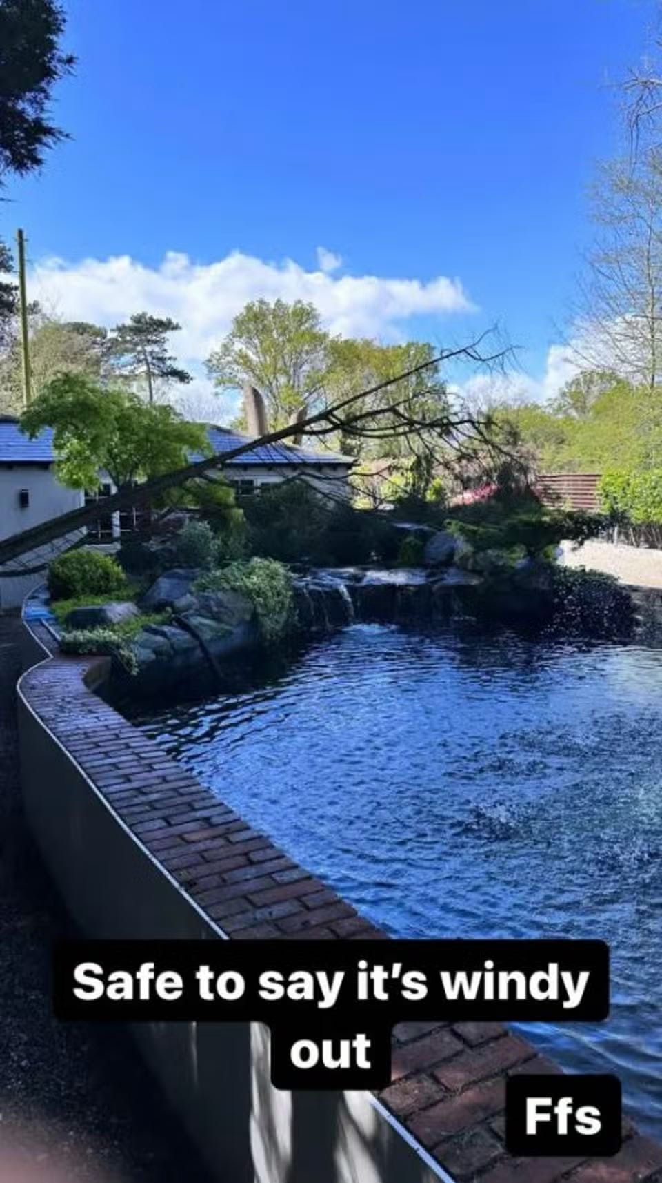 Rylan Clark Instagram picture of a tree fallen in a pond