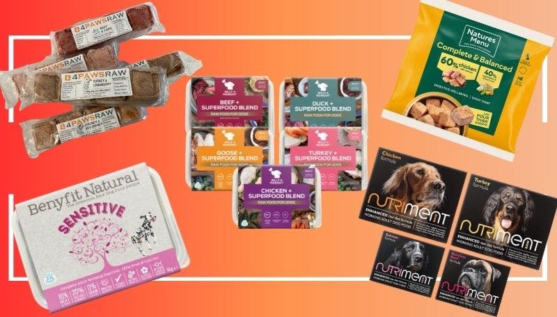 Feed your pooch naturally with the best raw food diet for dogs