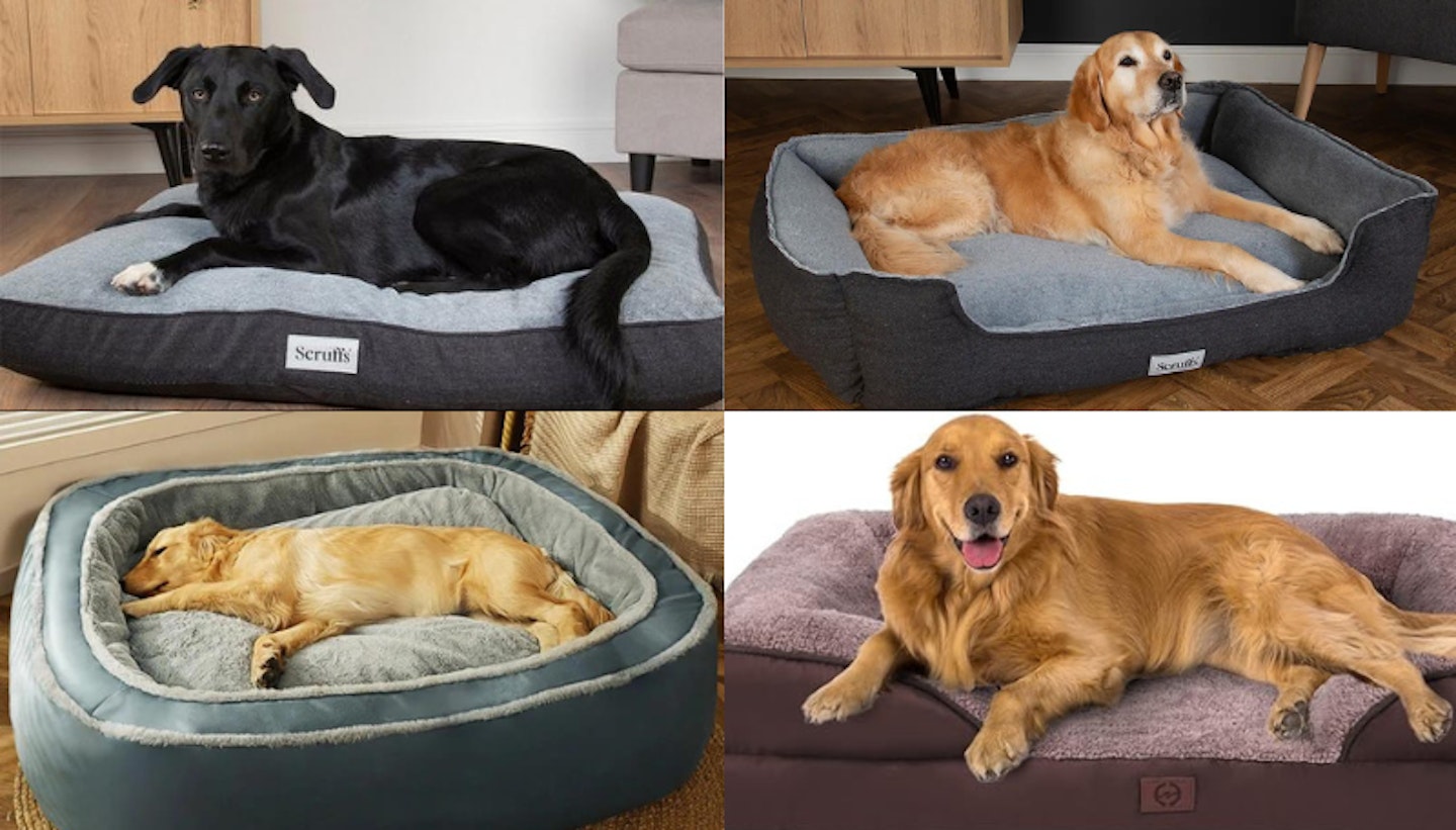 Best orthopaedic dog beds