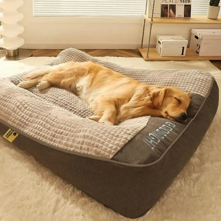A closer look at Dog Beds That Alleviate Back Pain
