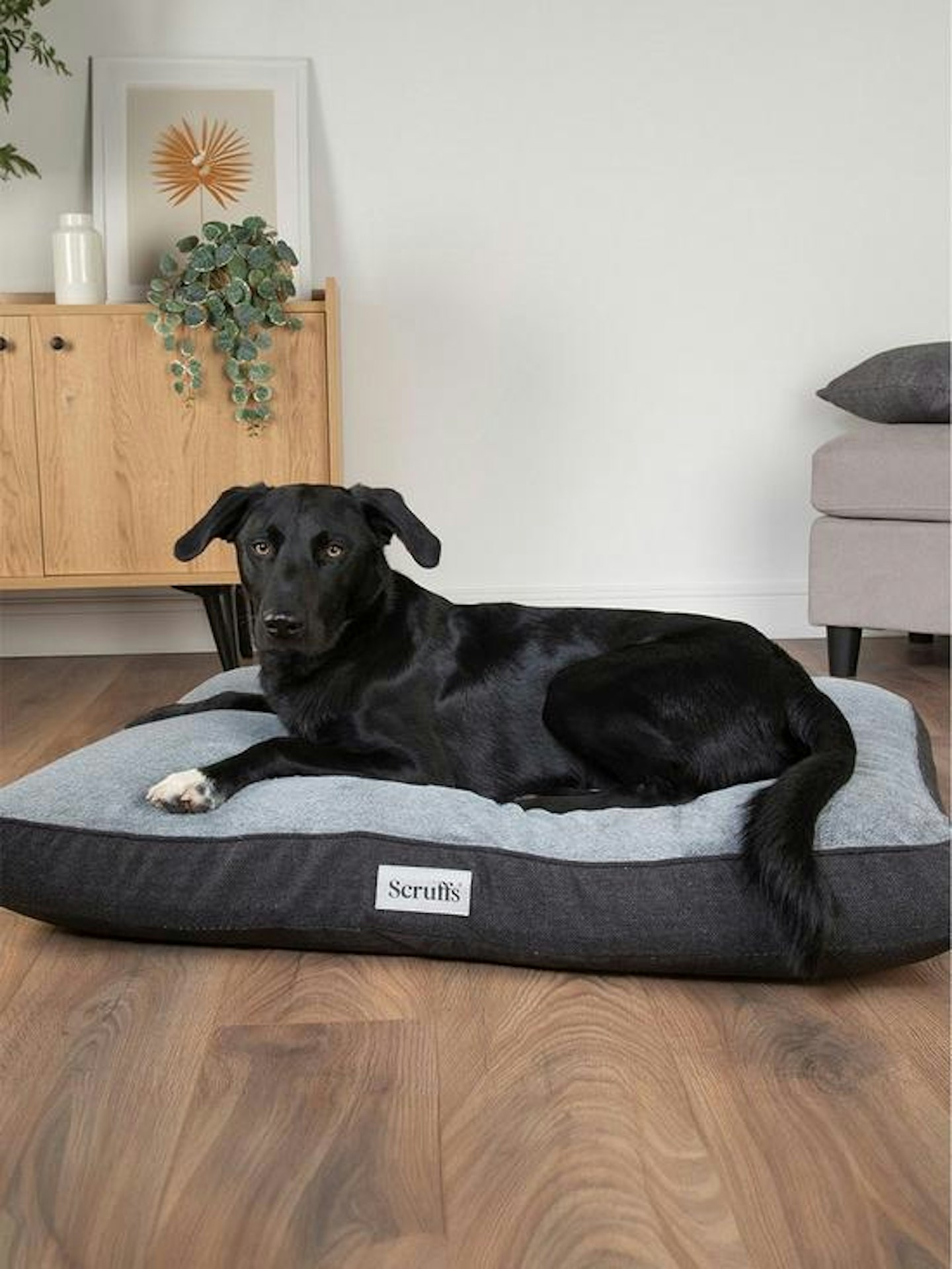 Best washable orthopaedic dog bed