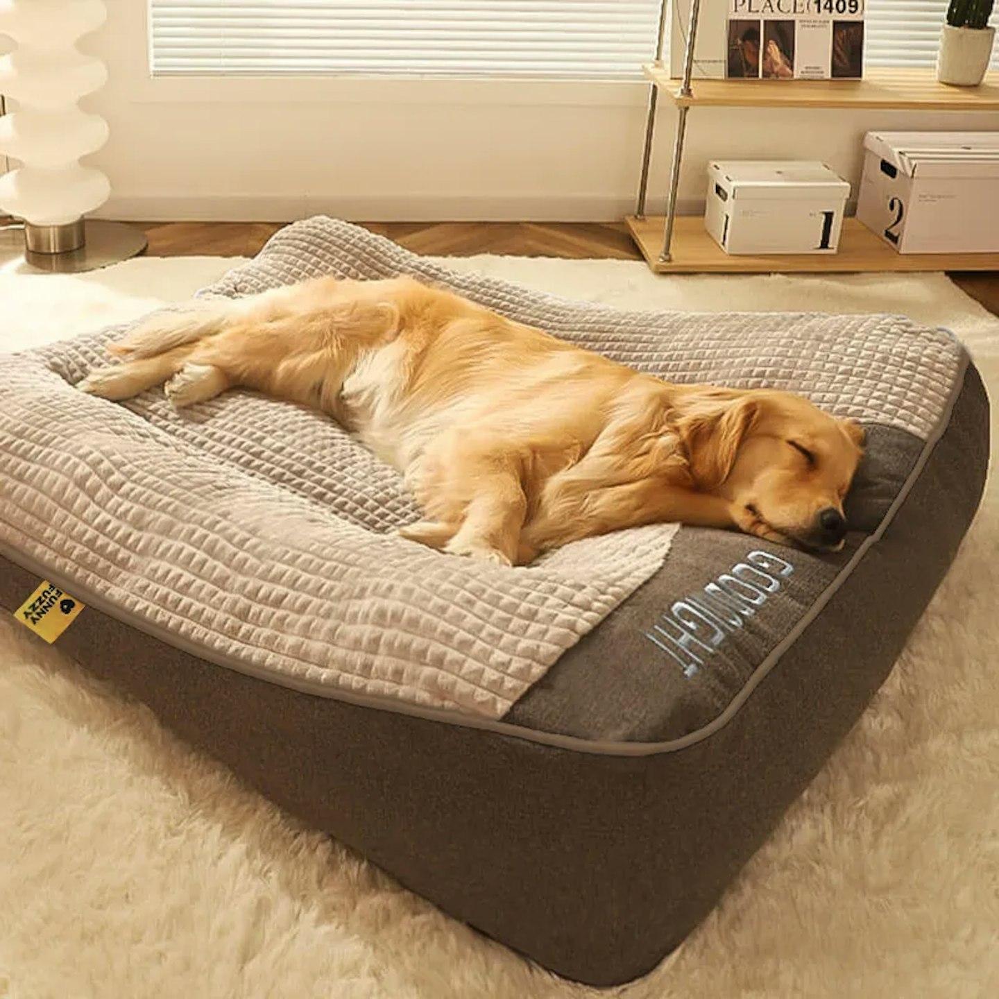 Best orthopaedic cushion bed for dogs