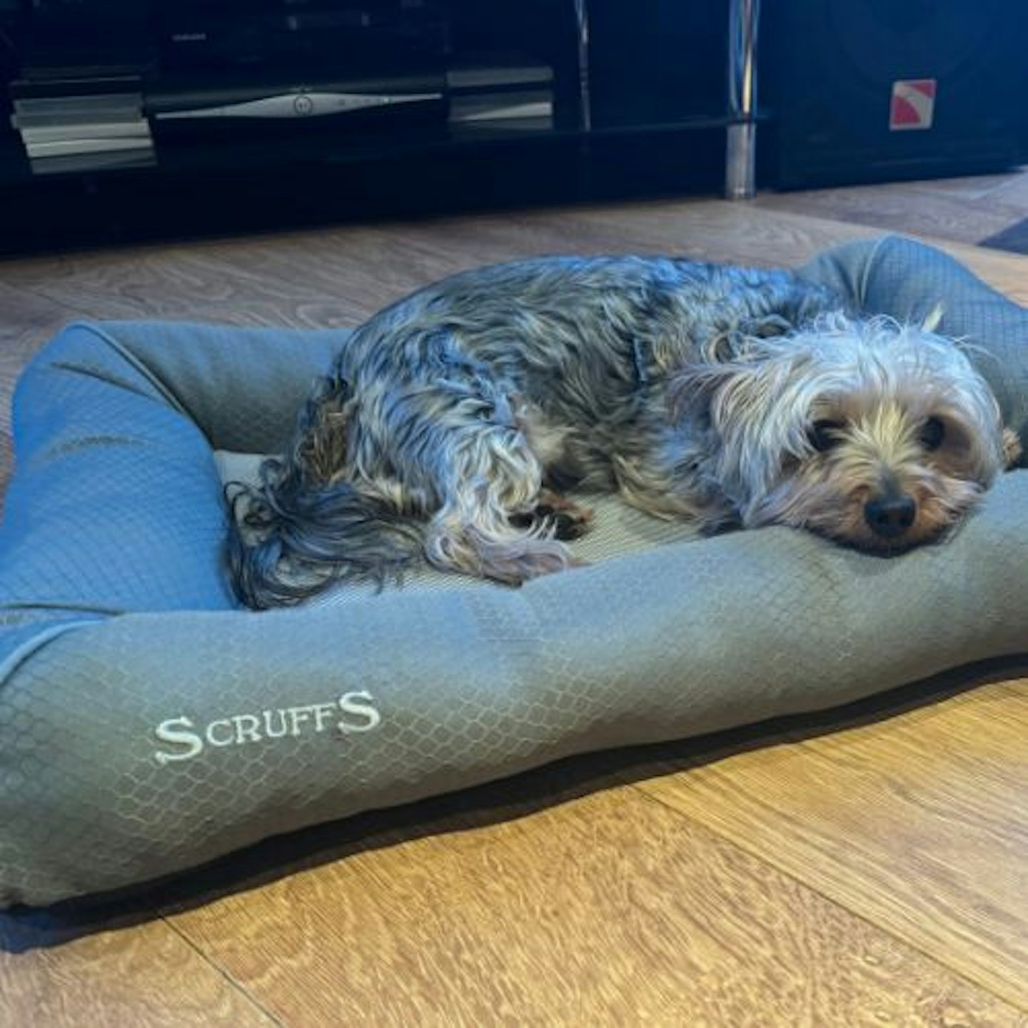 Scruffs Cool Grey Dog Bed