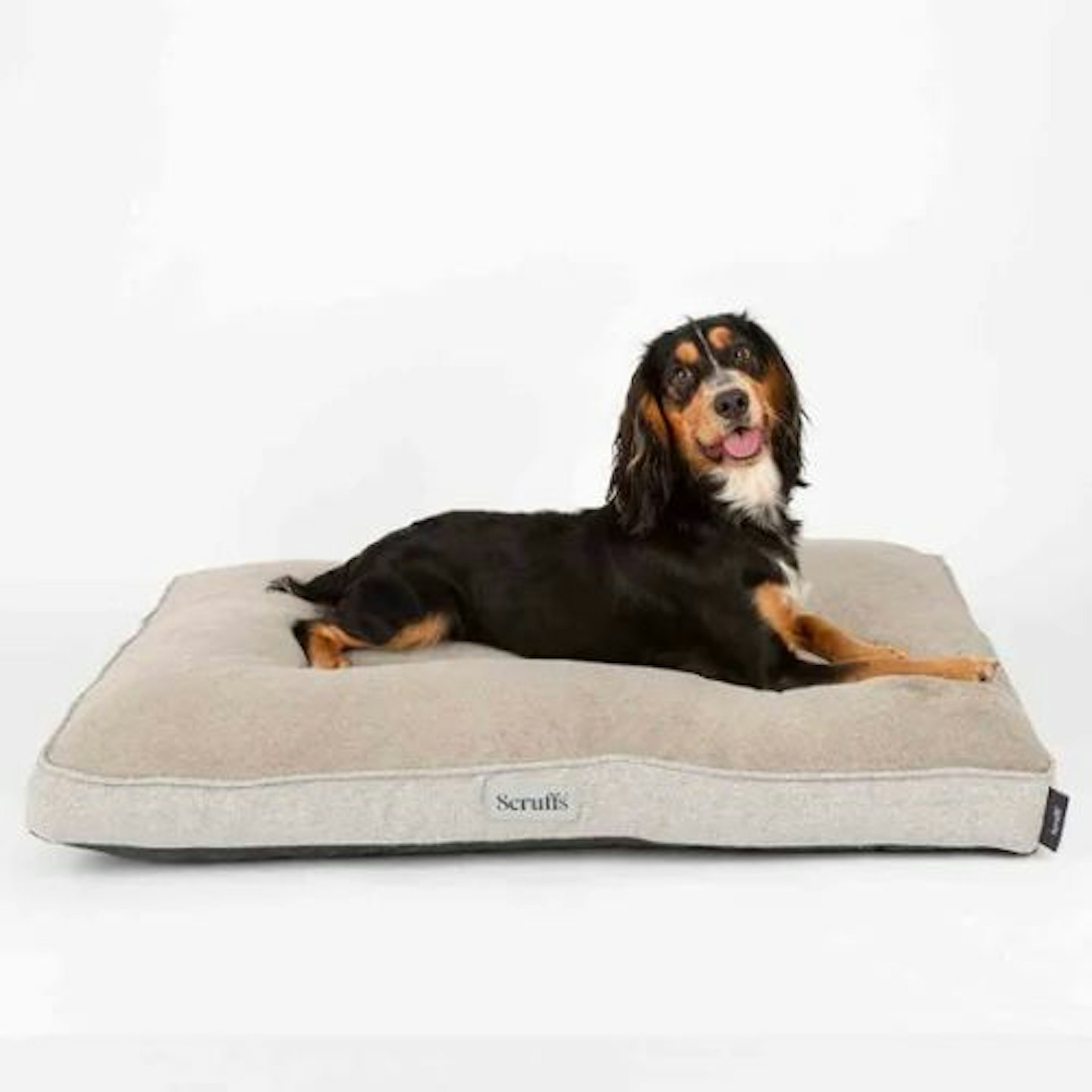 Scruffs Harvard Memory Foam Orthopaedic Mattress