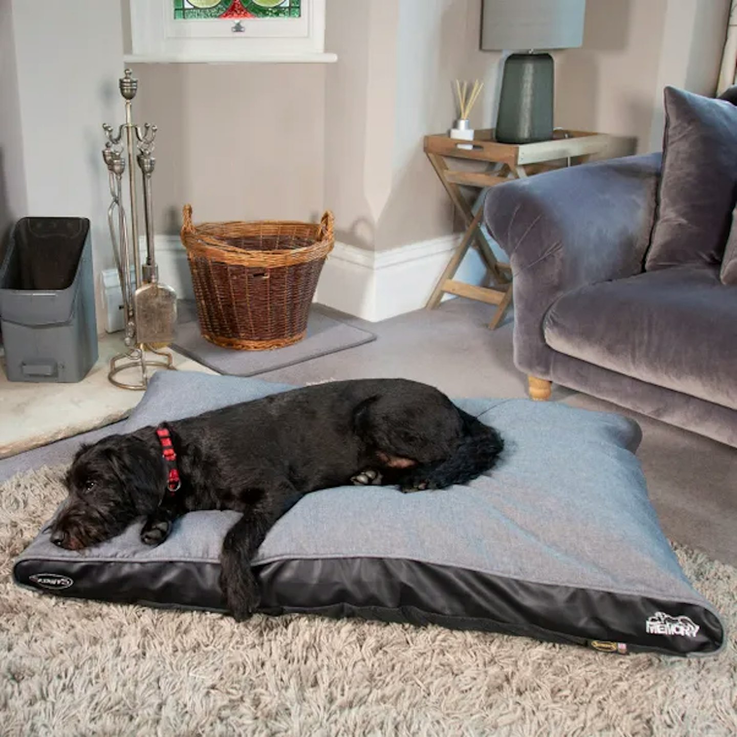 Best orthopaedic dog bed for dogs with arthritis 