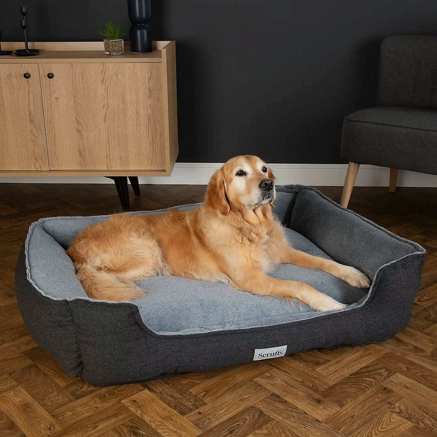 Best large orthopaedic dog bed