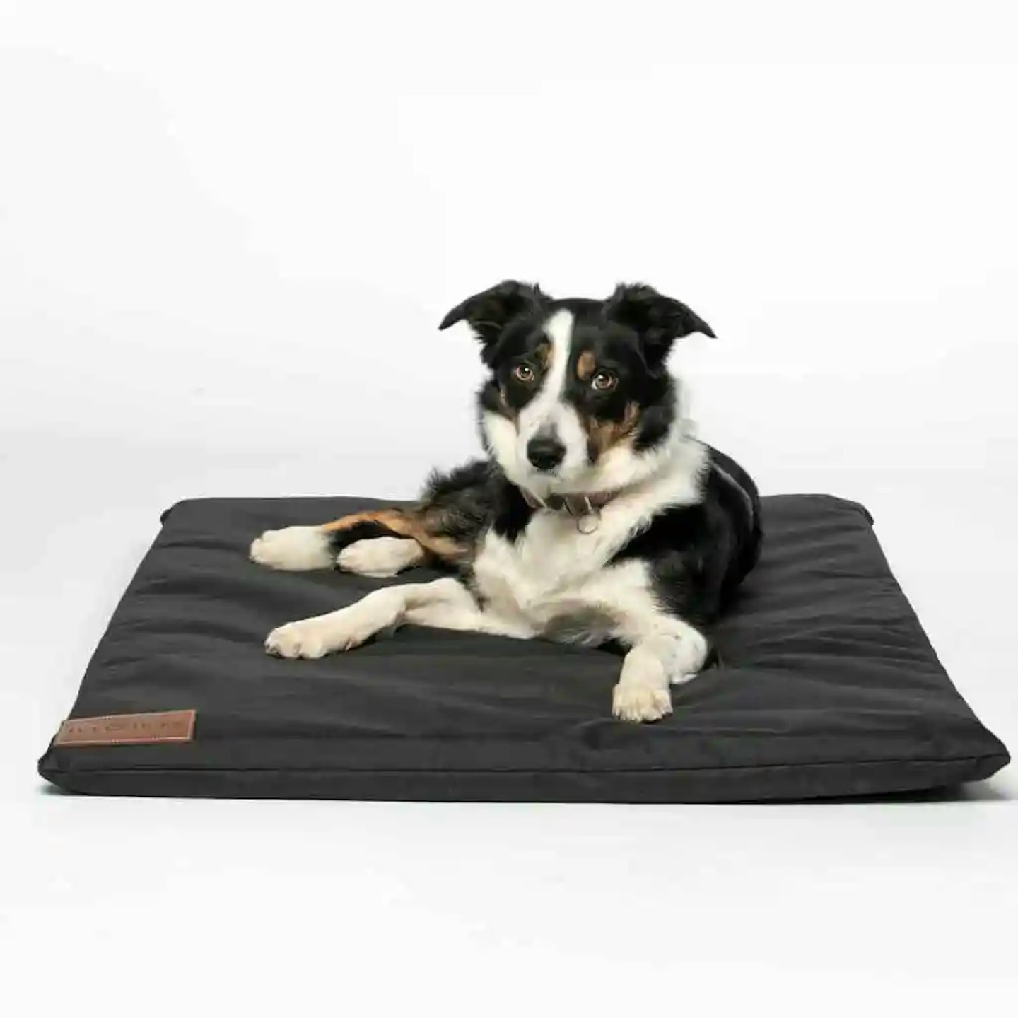 Best orthopaedic dog bed for travel