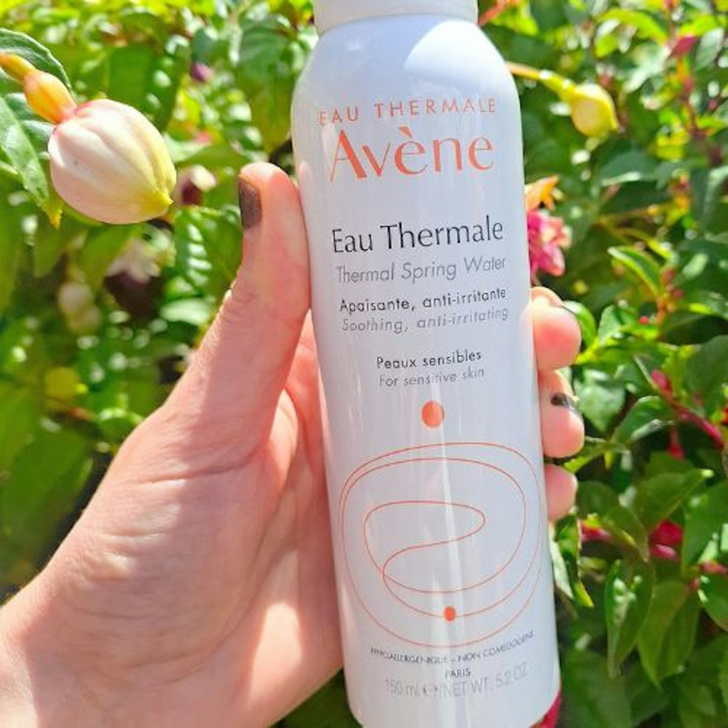 Avene Eau Thermale